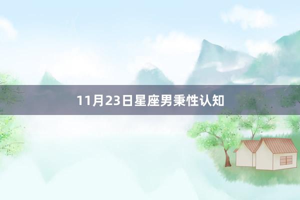 11月23日星座男秉性认知