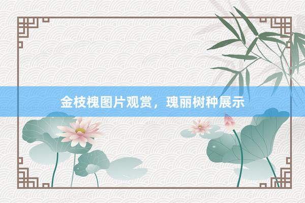 金枝槐图片观赏，瑰丽树种展示